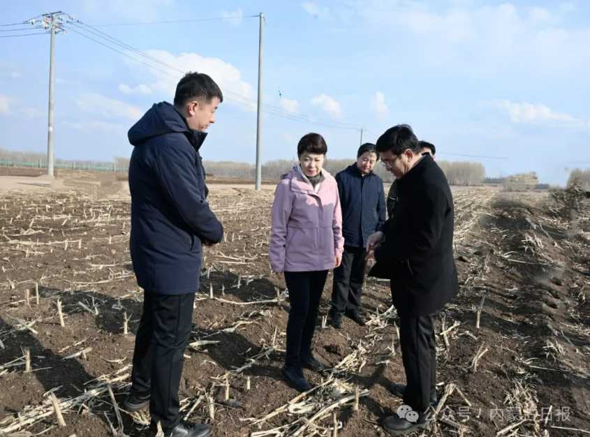 微信图片_20250408170909.png