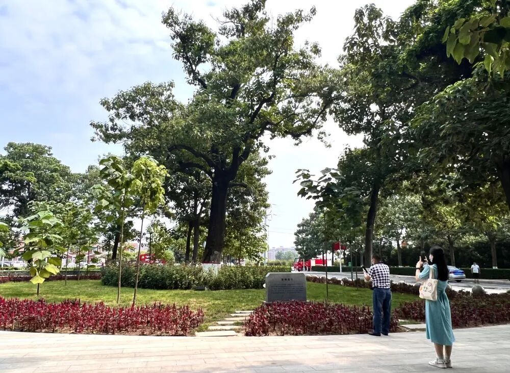 微信图片_20260701101520.jpg