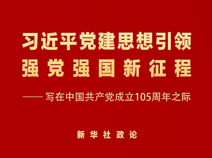 习近平党建思想引领强党强国新征程｜新华社政论