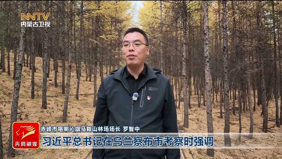 微信图片_20261020103047.png