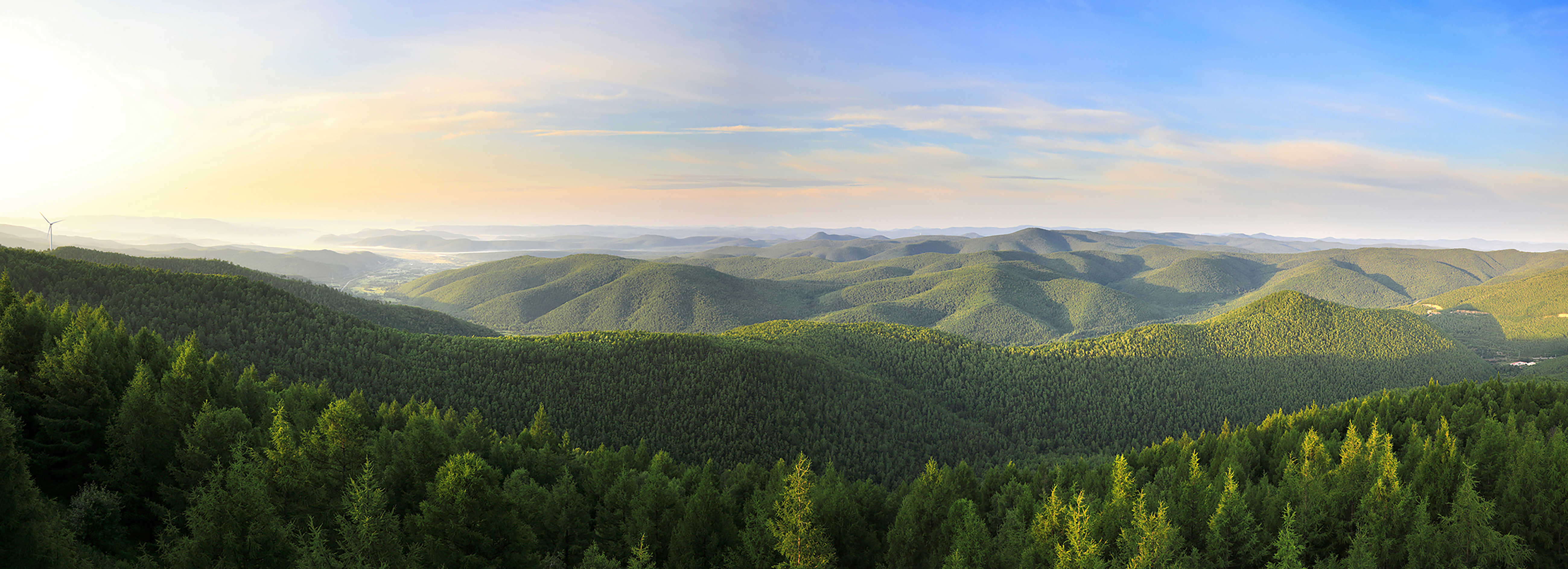 呼伦贝尔市—大兴安岭林海