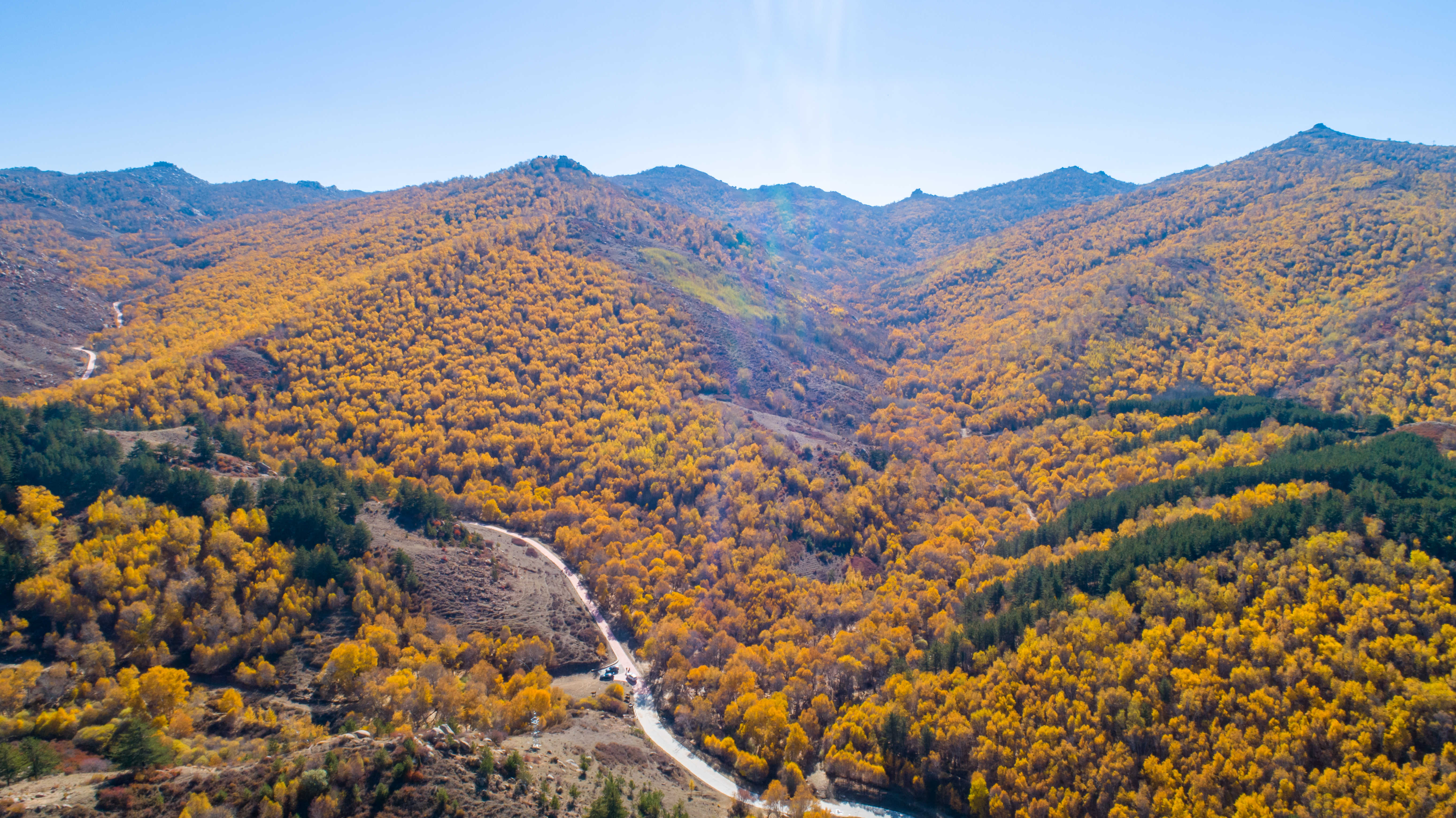 巴彦淖尔市—乌拉山国家森林公园“大桦背”